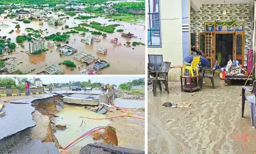 Rains wreak havoc in Telangana