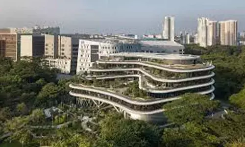 Wilmar Intl awaits CCI nod for 20% buyout in AWL Agri