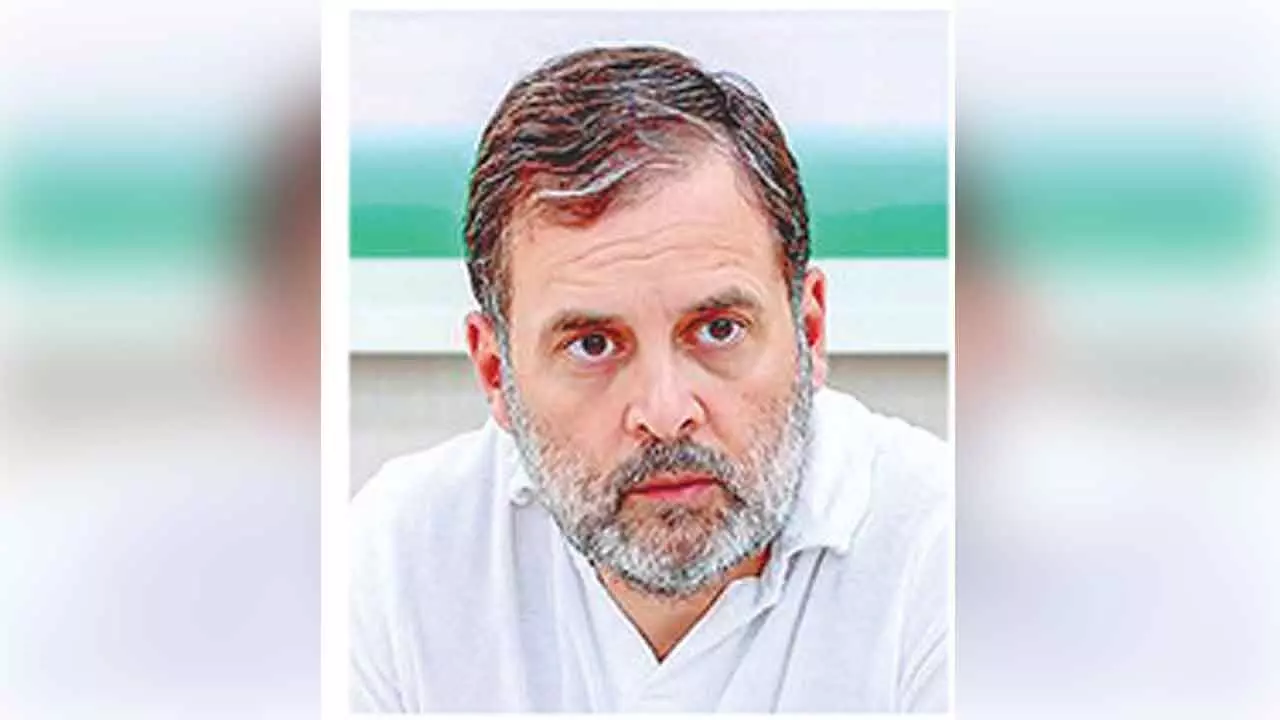 BJP leaders jittery as theyre caught stealing votes: Rahul BJP leaders jittery as theyre caught stealing votes: Rahul