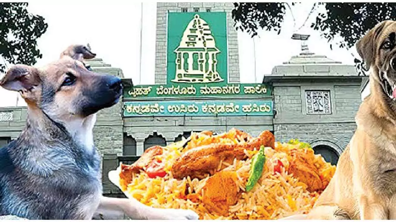 BBMP moves to identify feeding zones for stray dogs following SC order