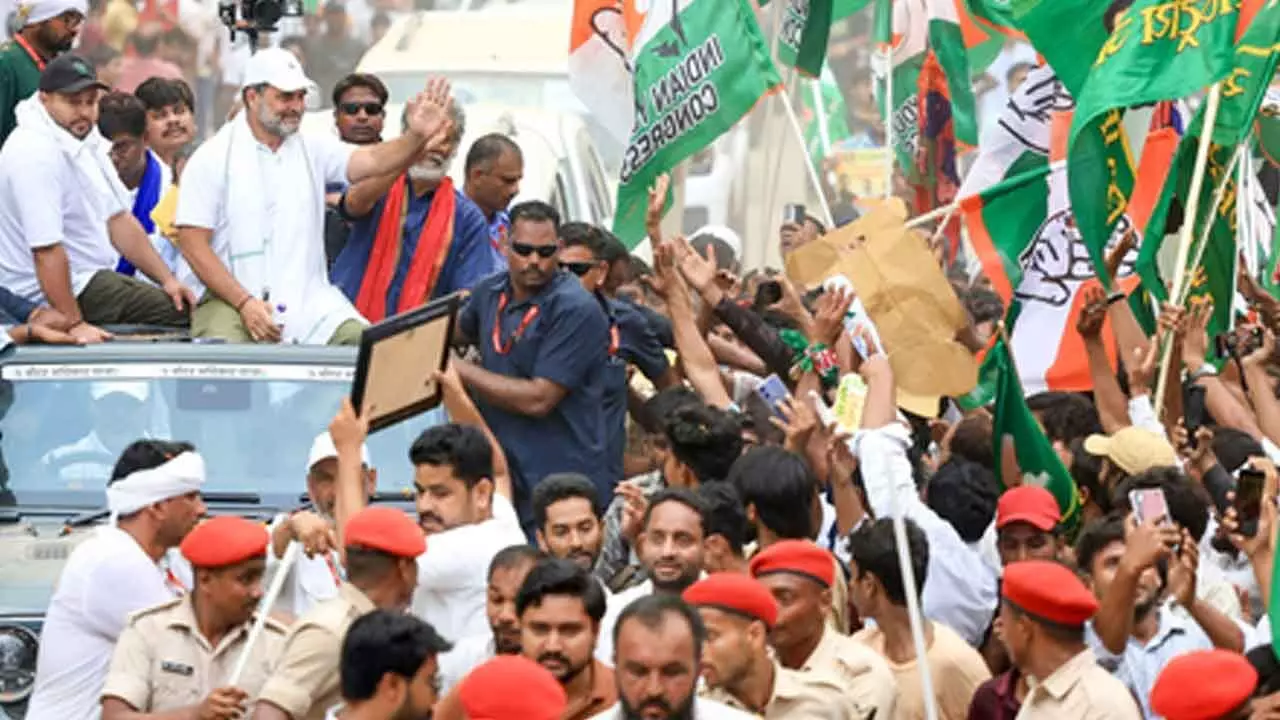 Trinamool to send Yusuf Pathan, Lalitesh Tripathi to Congress’ Voter Adhikar Yatra in Bihar