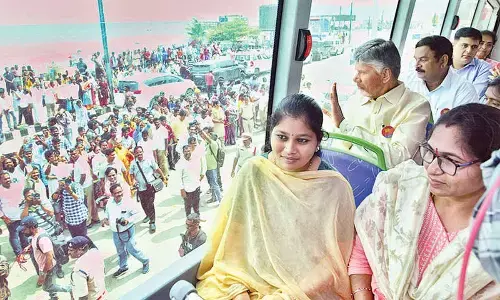 Double-decker buses add flavour to tourist attraction