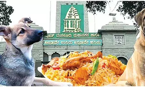 BBMP moves to identify feeding zones for stray dogs following SC order
