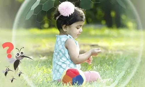 Mosquito vs Your Baby’s Skin: How to Protect Naturally This Monsoon