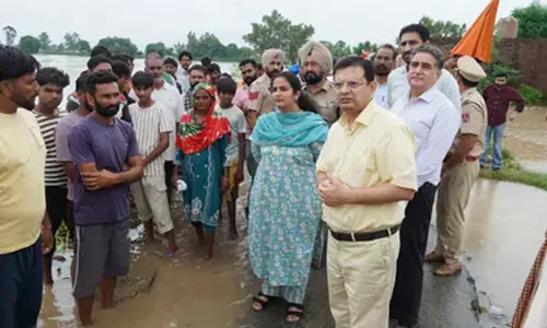 3 lakh acres, 1.25 lakh people impacted in Punjab floods: Official