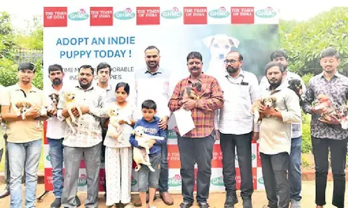 22 puppies get new homes in GHMC’s adoption drive