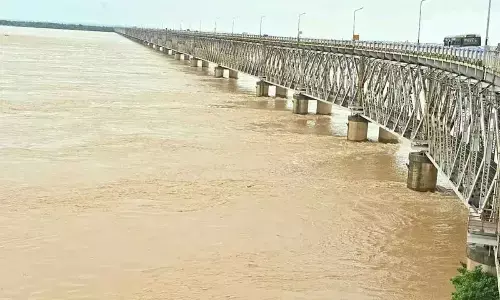 Godavari River rises once again