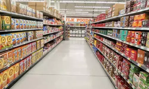 Pet Supplies Surge 522%, Beauty Jumps 323% as Nellore Discovers Instamarts Lightning-Fast 12-Minute Delivery