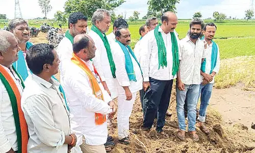 Cong neglecting farmers in State : BJP leader