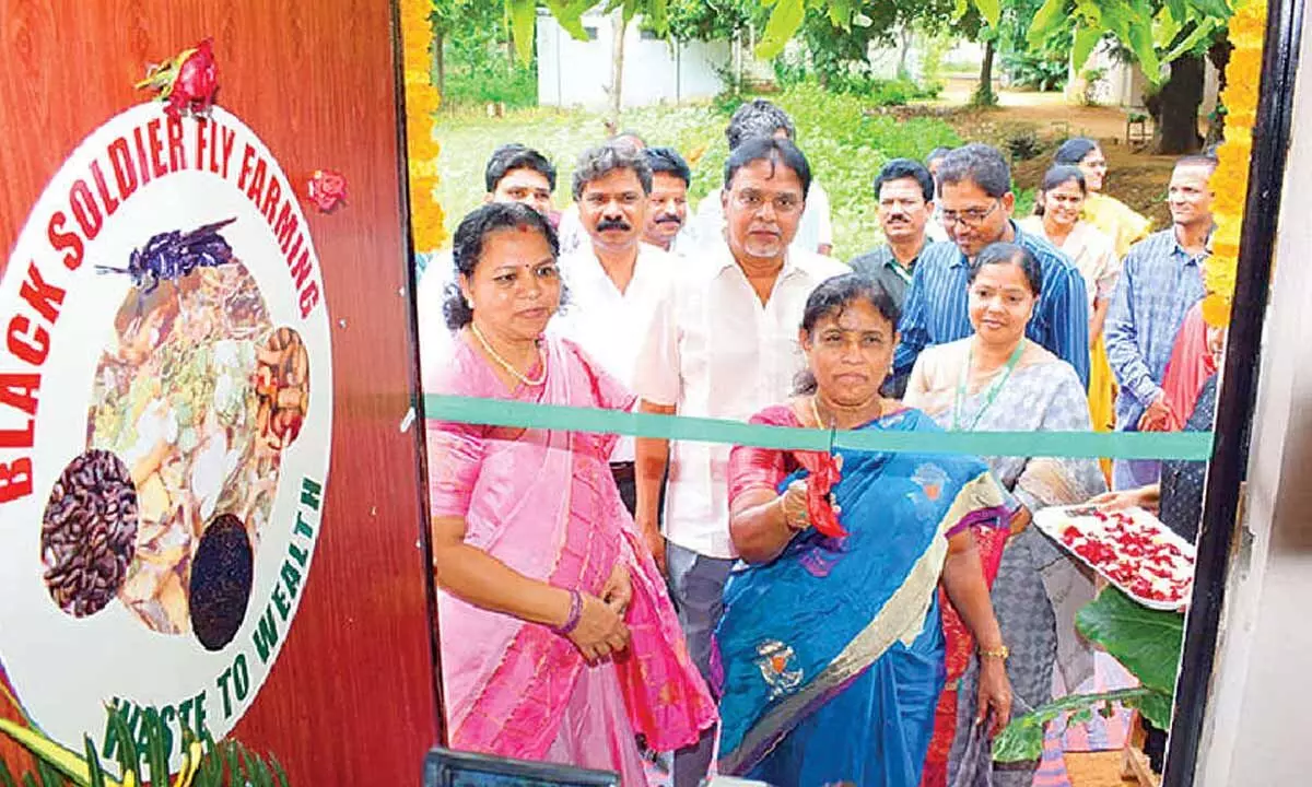 SV Agricultural College will soon get Rs 1.5 cr biocontrol research project: ANGRAU V-C