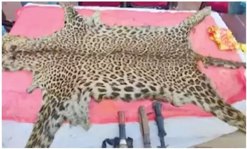 Ex-cop among 7 held for smuggling leopard skin