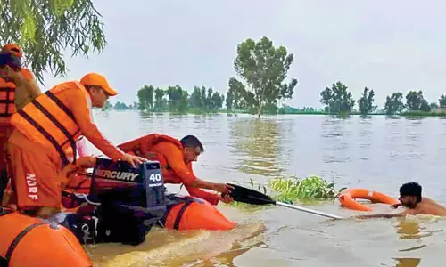 Punjab floods: 29 lives lost, 2.56 lakh people impacted in one month