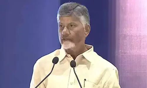 CM Chandrababu reviews on fertilisers and horticulture crops, gives directions to officials