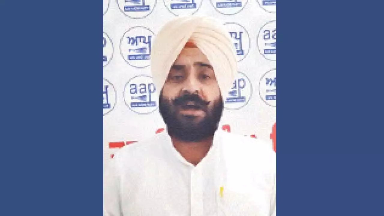 Pb AAP MLA nabbed on rape charge, escapes police custody