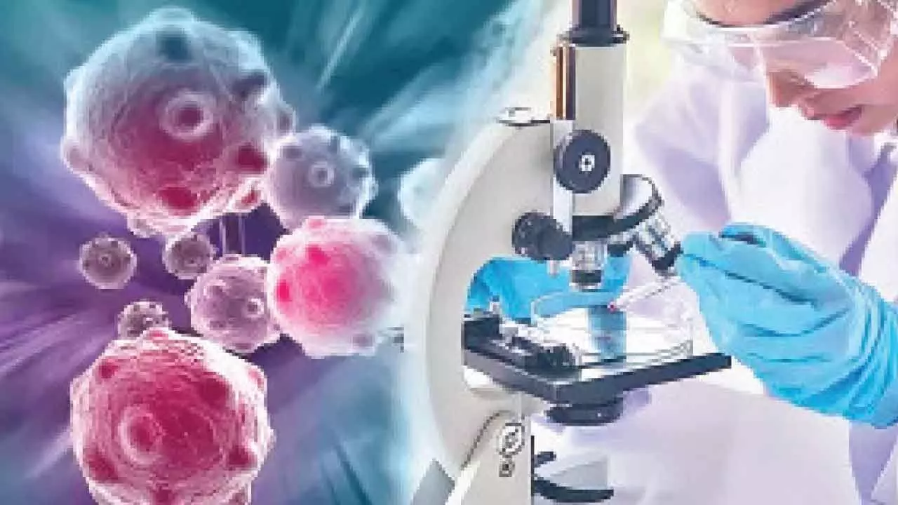 Cancer cases highest in northeast India, finds study