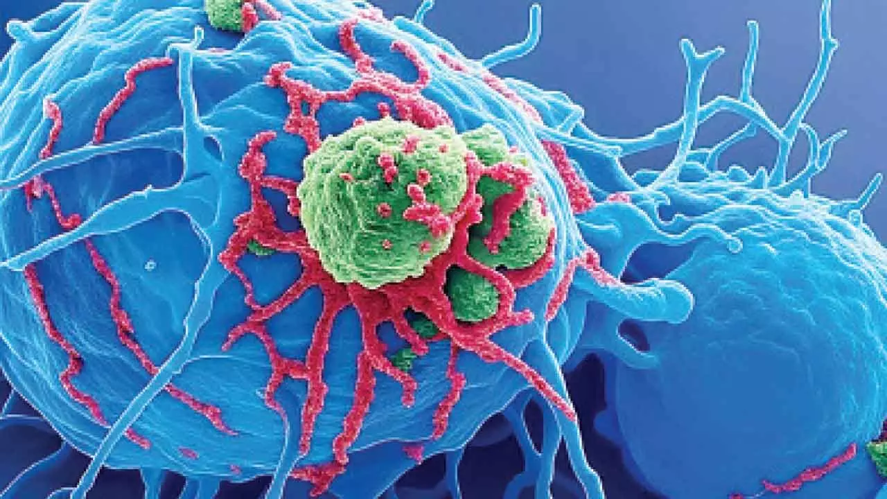 IIT Guwahati’s new nanosensor can instantly detect cancer-causing pollutants in water