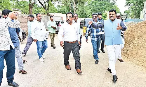 Complete beautification and road works by Sept end: Collector