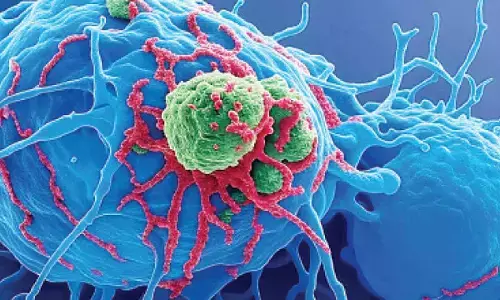 IIT Guwahati’s new nanosensor can instantly detect cancer-causing pollutants in water