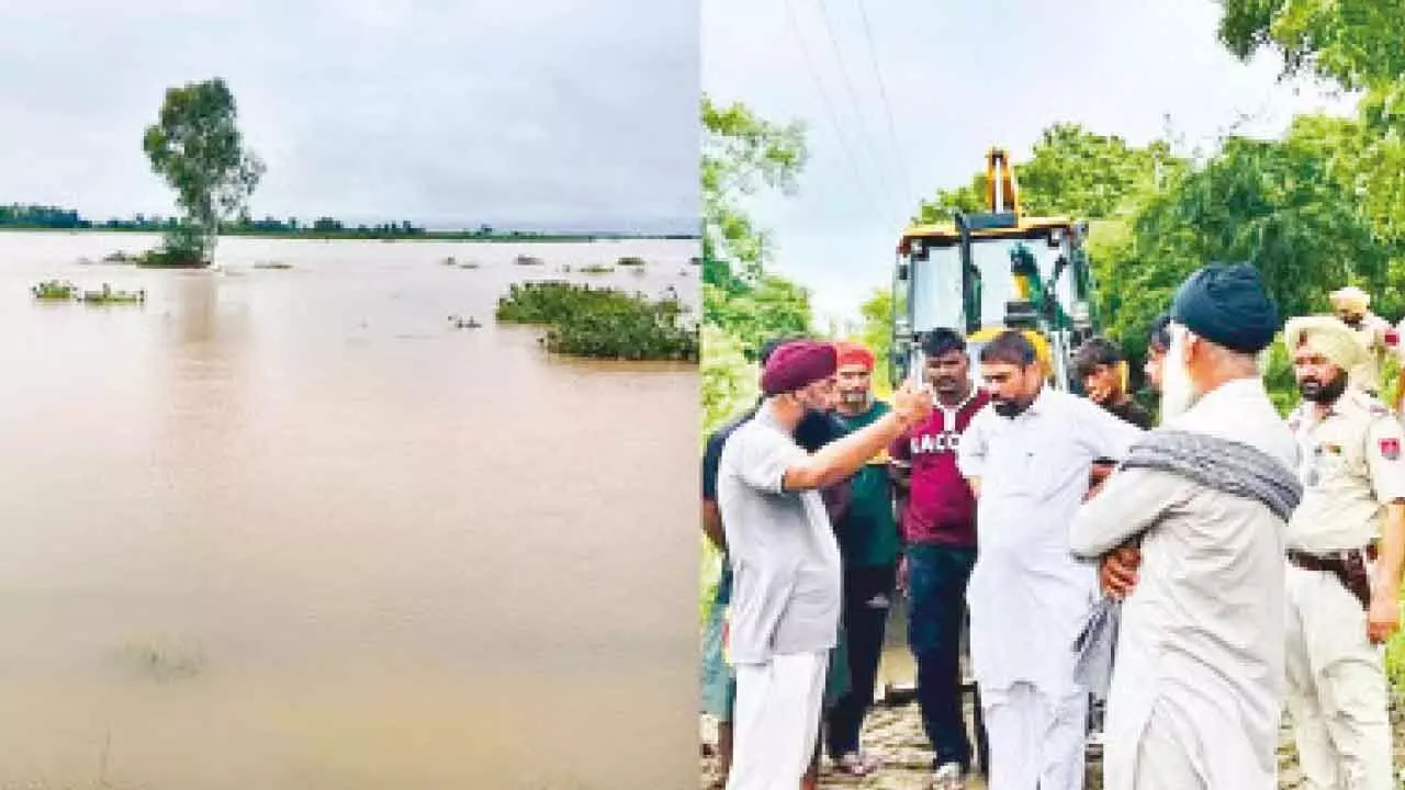 AAP dispatches relief material to flood-hit Pb