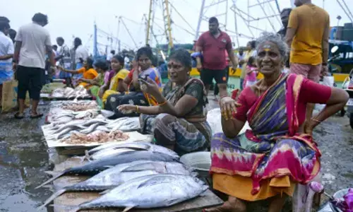 GST rate cut across fisheries value chain to boost India’s Blue Economy: Govt