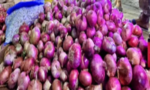 Ensuring lower prices this festive season: Pralhad Joshi launches onion sale at Rs 24 per kg
