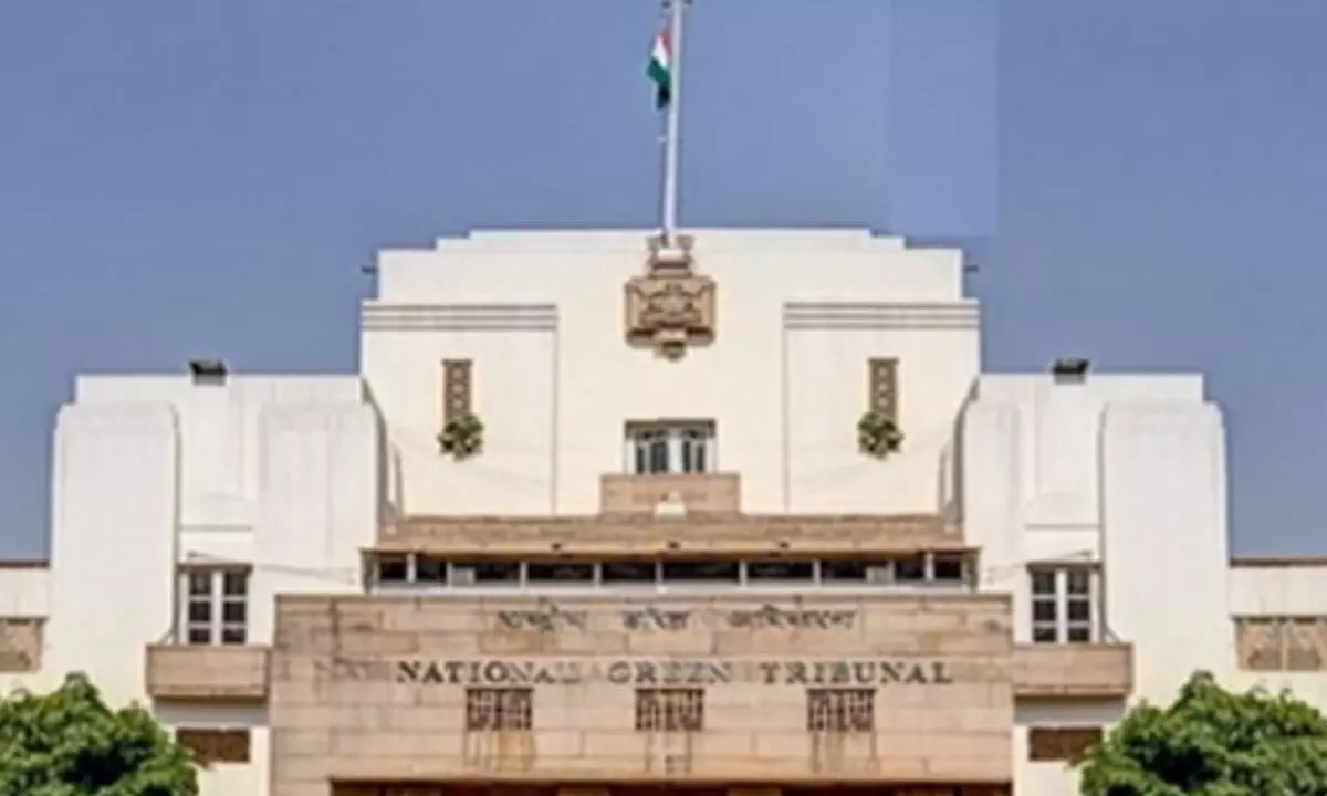 NGT takes suo motu cognizance of nitrogen gas leak at Maharashtra pharma unit NGT takes suo motu cognizance of nitrogen gas leak at Maharashtra pharma unit