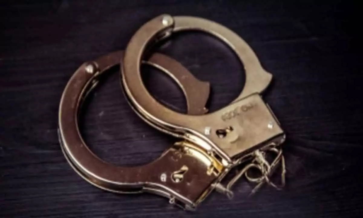 Brazilian Model Molested in Bengaluru: Delivery Boy Arrested in RT Nagar