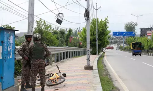 Unlabelled 340 kg meat seized in J&K’s Srinagar city