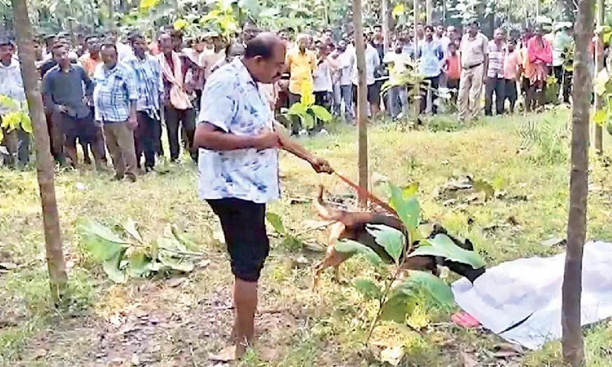 Missing girl’s body found in canal