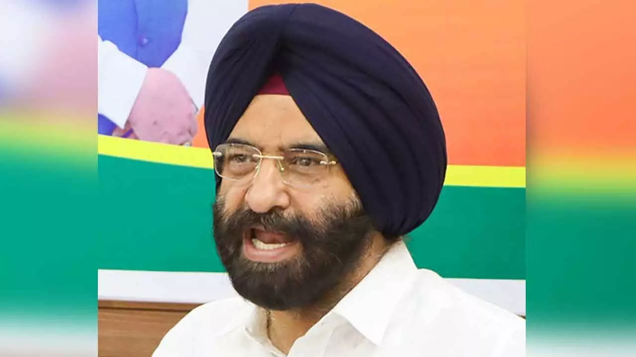 Delhi: Sirsa announces plan to skill youth for employment in Khadi sector Delhi: Sirsa announces plan to skill youth for employment in Khadi sector