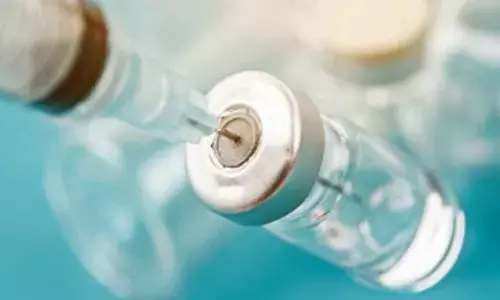 Australia approves world-first vaccine to save koalas from chlamydia