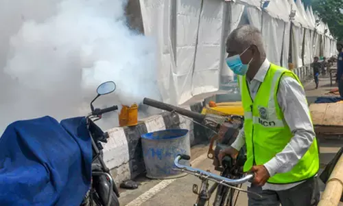 Warming climate to surge dengue cases by 76 pc across Asia, Americas by 2050: Study