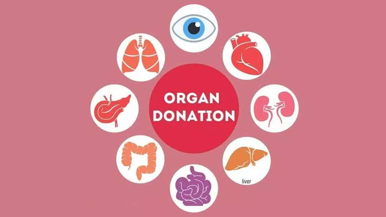 Govt to allow organ swapping between families as per law Govt to allow organ swapping between families as per law
