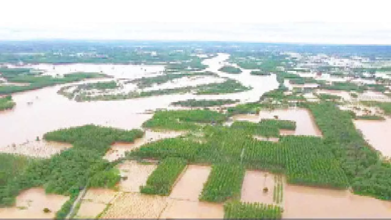 Rs 1,600 cr financial aid for Punjab ‘miserably meagre’: Cheema Rs 1,600 cr financial aid for Punjab ‘miserably meagre’: Cheema