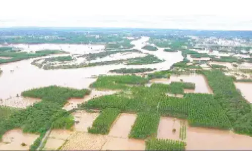 Rs 1,600 cr financial aid for Punjab ‘miserably meagre’: Cheema