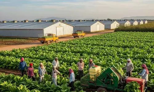 Foreign Investment Seen as Key to Modernising Andhra’s Tobacco Sector