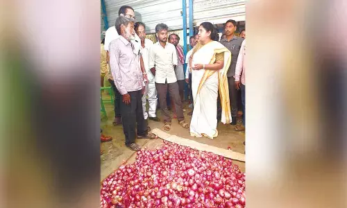 Collector bats for Kurnool onions