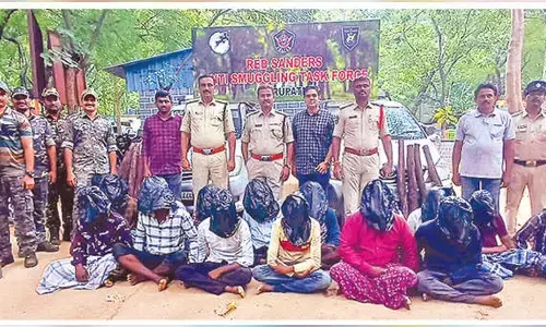 15 Red Sanders logs seized, 15 smugglers held