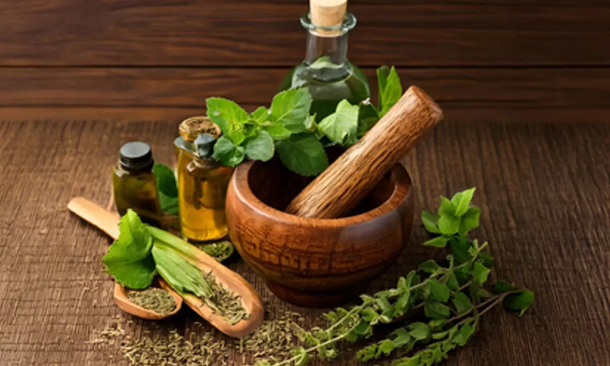 Pharmacopoeia Commission conducts training programme to boost regulation, quality of Ayush drugs Pharmacopoeia Commission conducts training programme to boost regulation, quality of Ayush drugs