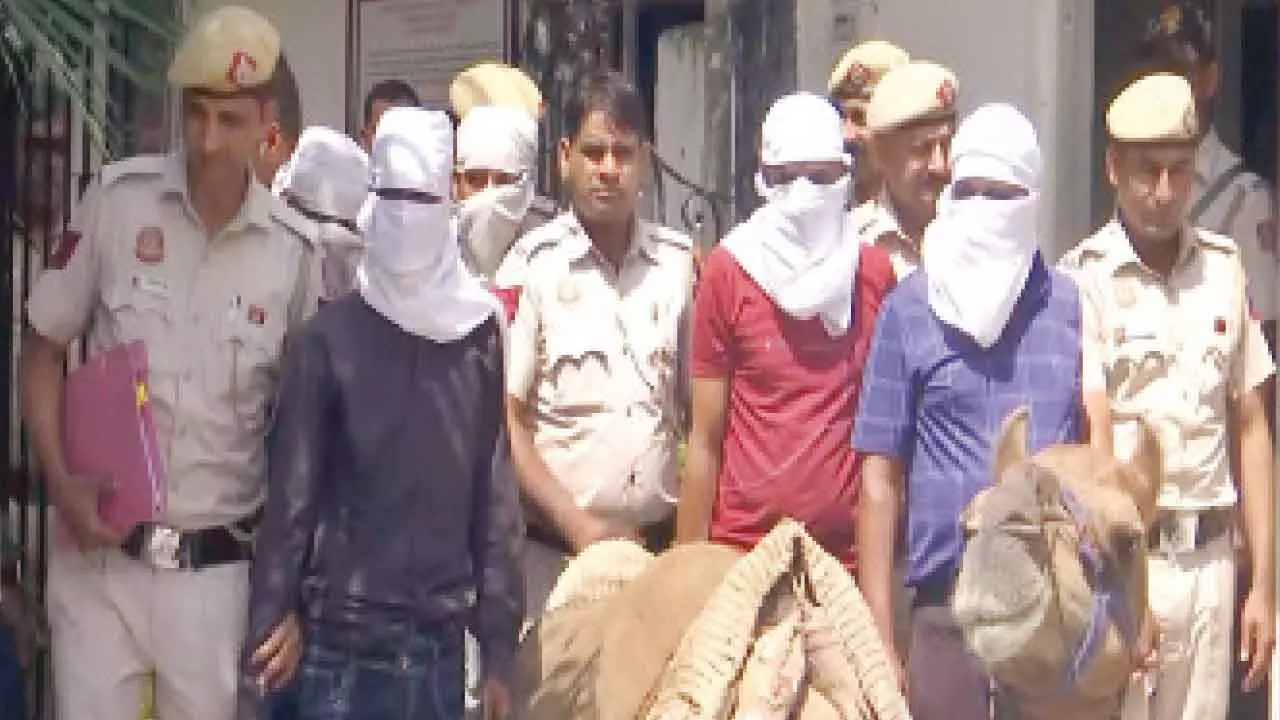 5 held for smuggling illicit liquor on camels 5 held for smuggling illicit liquor on camels