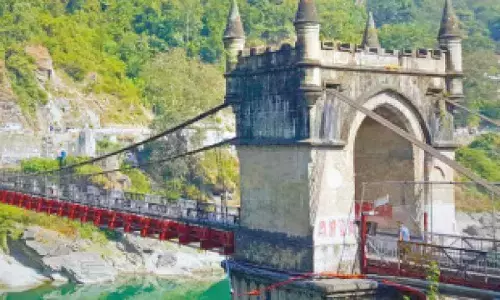 Mandi Bharari area to be developed as tourist hub