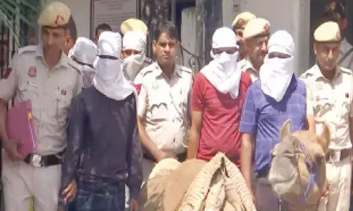 5 held for smuggling illicit liquor on camels