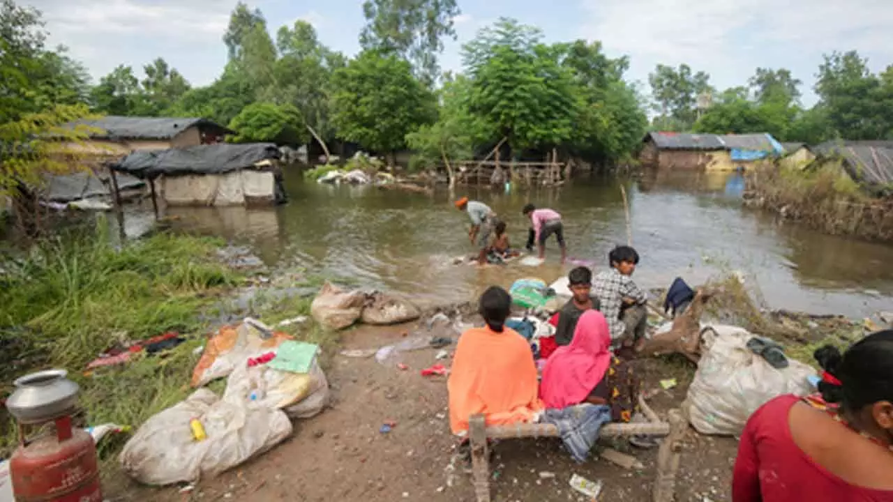 Punjab deploys nodal chairmen for flood relief, rehabilitation works Punjab deploys nodal chairmen for flood relief, rehabilitation works