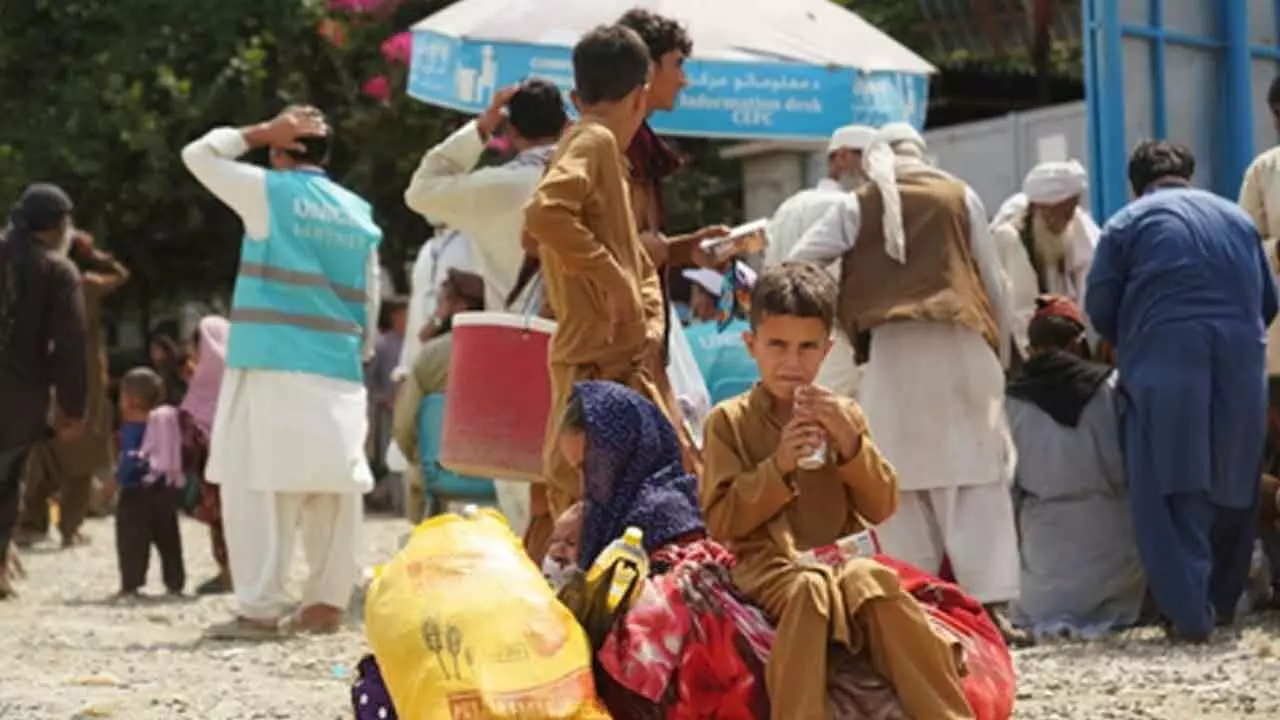 UNHCR urges Pakistan to stop deporting vulnerable Afghan asylum seekers UNHCR urges Pakistan to stop deporting vulnerable Afghan asylum seekers