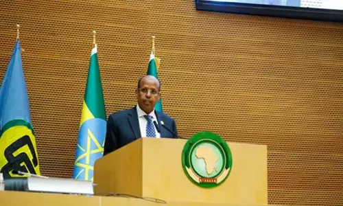 AU welcomes UN General Assembly resolution on advancing cooperation
