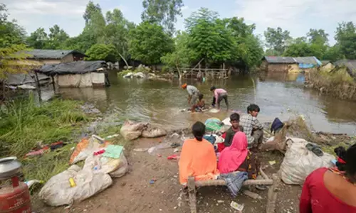 Punjab deploys nodal chairmen for flood relief, rehabilitation works