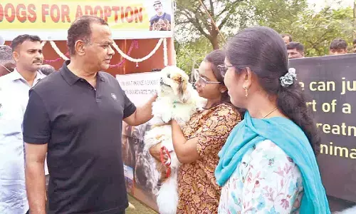 Nalgonda hosts Telangana’s second-largest dog adoption drive