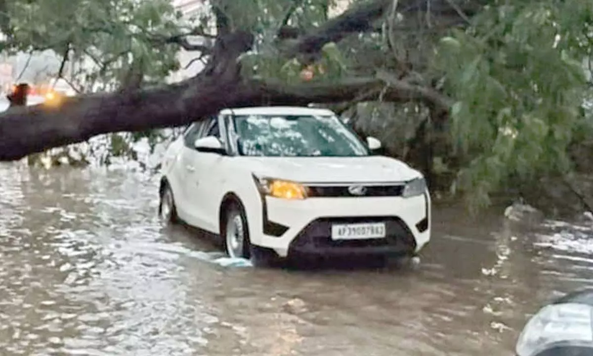 Heavy rain throws normal life out of gear Heavy rain throws normal life out of gear