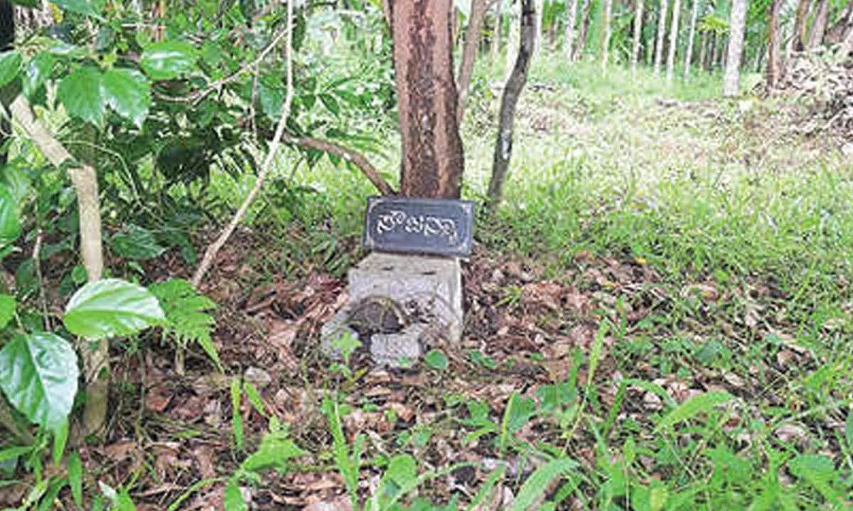 New complaint murder debate over case New complaint murder debate over case