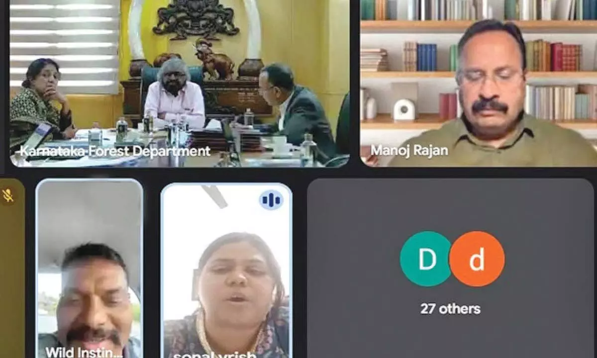 Elephant Safari proposal to curb human-animal conflict, discussions with locals soon